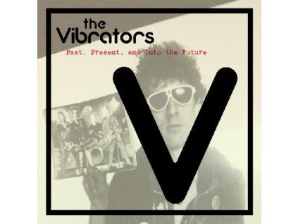 4238975 the vibrators past present and into the future lp