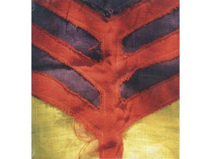 4239923 yeah yeah yeahs show your bones lp