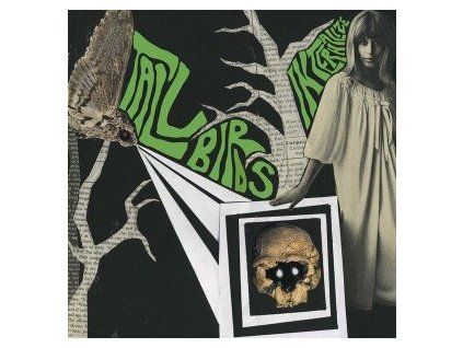 TALL BIRDS - INTERNALIZE / SKY IS FALLING (LP)