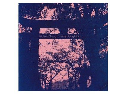 YOUNGS, RICHARD - AMPLIFYING HOST (LP)