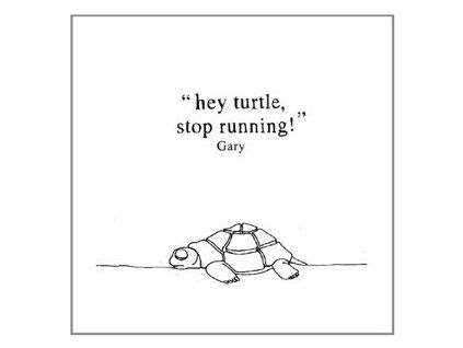 GARY - HEY TURTLE, STOP RUNNING! (PLUS DOWNLOADCODE) (LP)