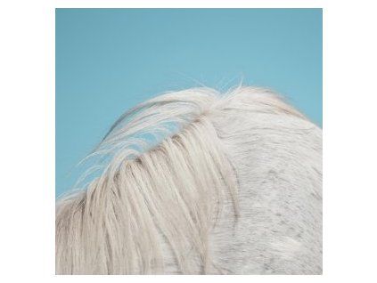 WIDOWSPEAK - ALL YOURS (LP)