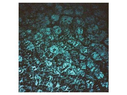 CHASTITY - PEROXIDE (LP)
