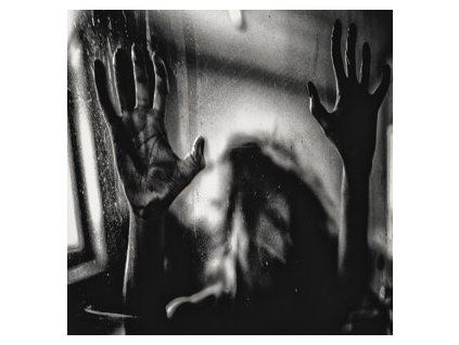 BEHIND THE SHADOW DROPS - HARMONIC (LP)