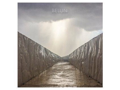 BELLINI - BEFORE THE DAY HAS GONE (LP)