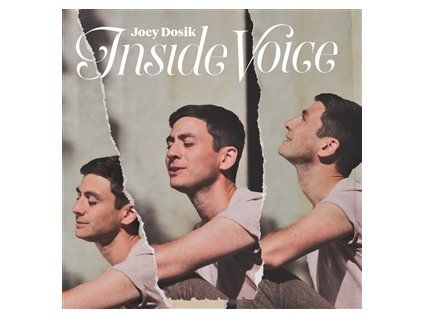 DOSIK, JOEY - INSIDE VOICE (LP)