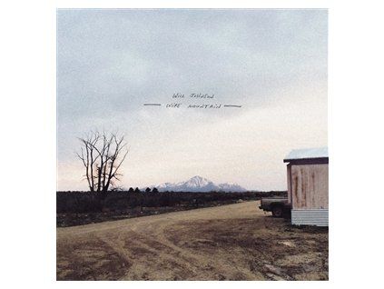 JOHNSON, WILL - WIRE MOUNTAIN (LP)