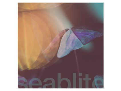 SEABLITE - BREADCRUMBS (LP)