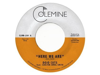 DOJO CUTS - HERE WE ARE (LP)