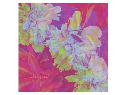 FLATWAVES - NUMBRA (LP)