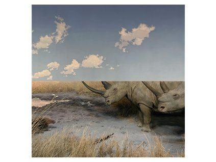 CARPET - COLLISION (LP)