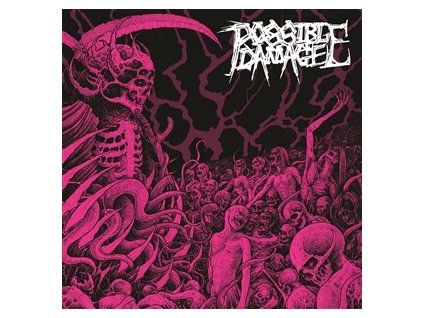 POSSIBLE DAMAGE - POSSIBLE DAMAGE (LP)
