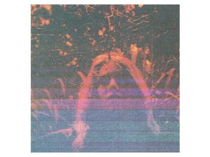 TURNOVER - PERIPHERAL VISION 10TH ANNIVERSARY -DELUXE BOX SET- (LP)