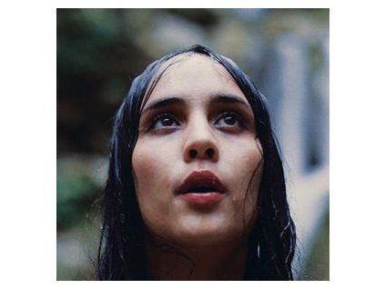 YOUNG MAGIC - STILL LIFE (LP)