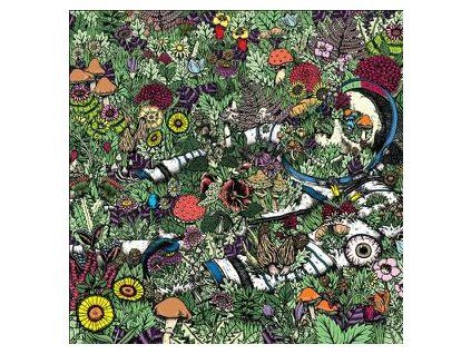 OOZING WOUND - WHATEVER FOREVER (LP)