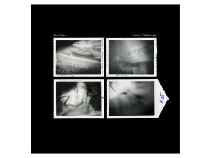 FAHEY, JOHN - PROOFS AND REFUTATIONS (LP)
