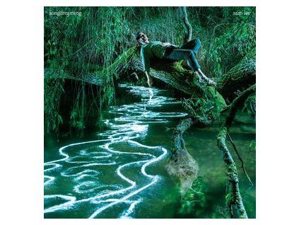 LEE, SAM - SONGDREAMING (LP)