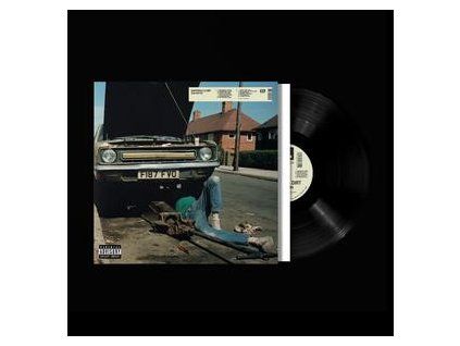 MORTON, SAM - DAFFODILS & DIRT (LP)