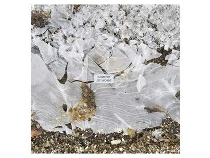 BARNES, TIM - LOST WORDS (LP)