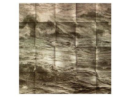 MINOTAUR SHOCK - ORCHARD (LP)