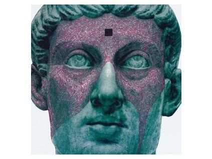 PROTOMARTYR - THE AGENT INTELLECT (LP)