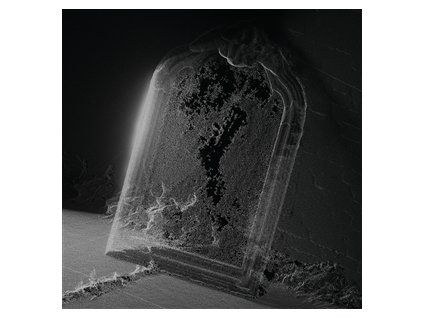 VISIBLE CLOAKS - PARADESSENCE (LP)