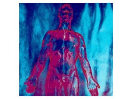 NIRVANA - SLIVER | DIVE (LP)