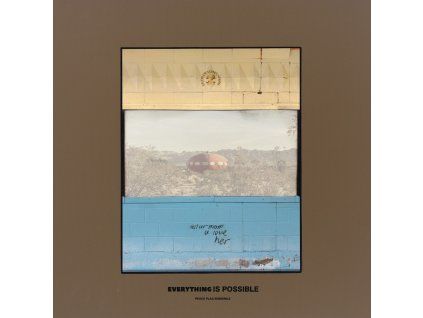 Peace Flag Ensemble - Everything Is Possible (LP)