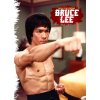 bruce lee a3 kalendář 2024