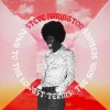 STEVE ARRINGTON - Down To The Lowest Terms: The Soul Sessions (LP)