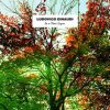 EINAUDI, LUDOVICO - IN A TIME LAPSE (2 LP / vinyl)