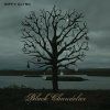 Biffy Clyro - Black Chandelier / Biblical (LP)