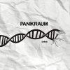 Panikraum - Selbst (LP)