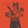PURIM, FLORA - IF YOU WILL (LP)