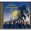 53848 into the woods muzikal cd