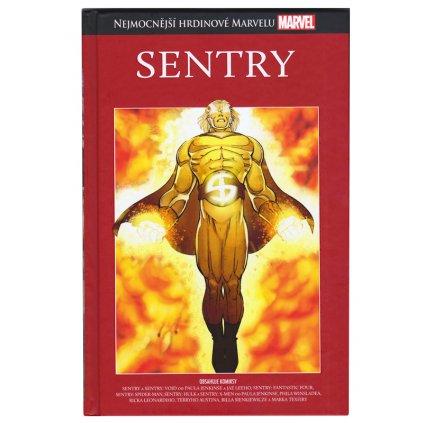 sentry 1
