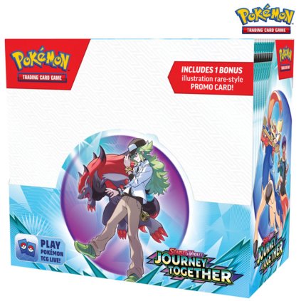 pokémon journey together 11