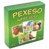 pexeso lesy