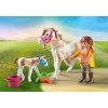 playmobil 71243t