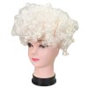 paruka bílá 4