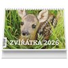 stolní kalendář zviratka 1