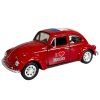 welly beetle i love france 3
