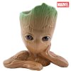 groot1