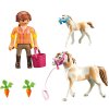 playmobil 71243d