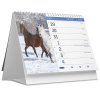 stolní kalendář koně 2