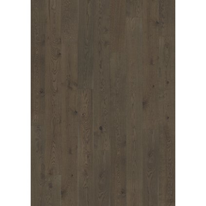Dřevěná podlaha, Dub Charcoal Light Plank