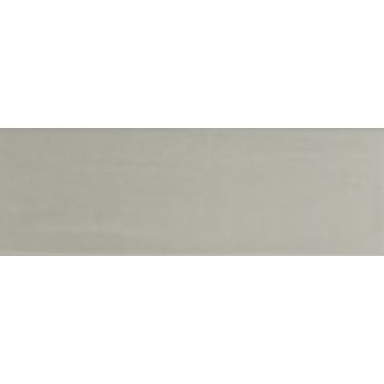 RAKO Compila GARJD865 dlaždice hutná šedá 30x10 cm