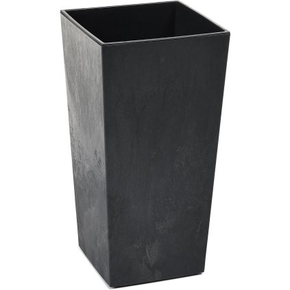 14277 finezia beteon cerny