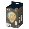 WiZ LED žárovka filament amber E27 G125 7W 640lm 2000-5000K IP20, stmívatelná