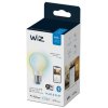 WiZ LED žárovka Frosted Glass E27 A60 7W 806lm 2700-6500K IP20, stmívatelná